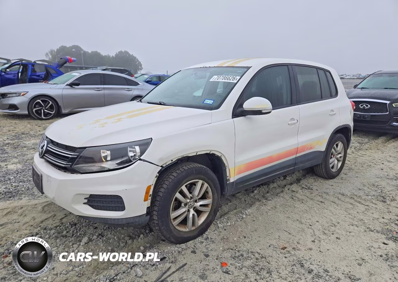 2013 Volkswagen Tiguan S VIN:WVGAV3AX1DW603332 - 1