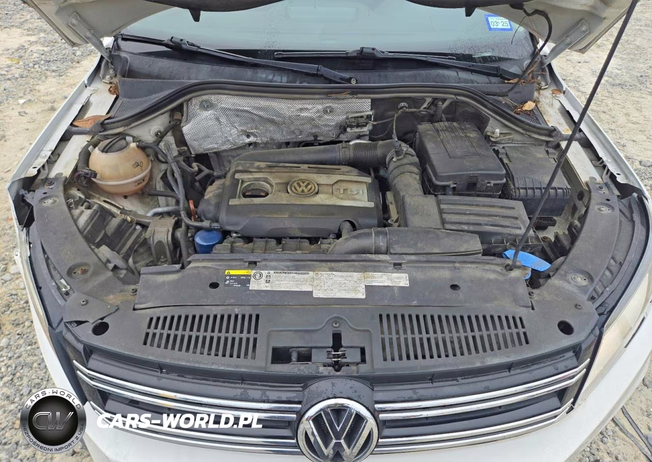 2013 Volkswagen Tiguan S VIN:WVGAV3AX1DW603332 - 12