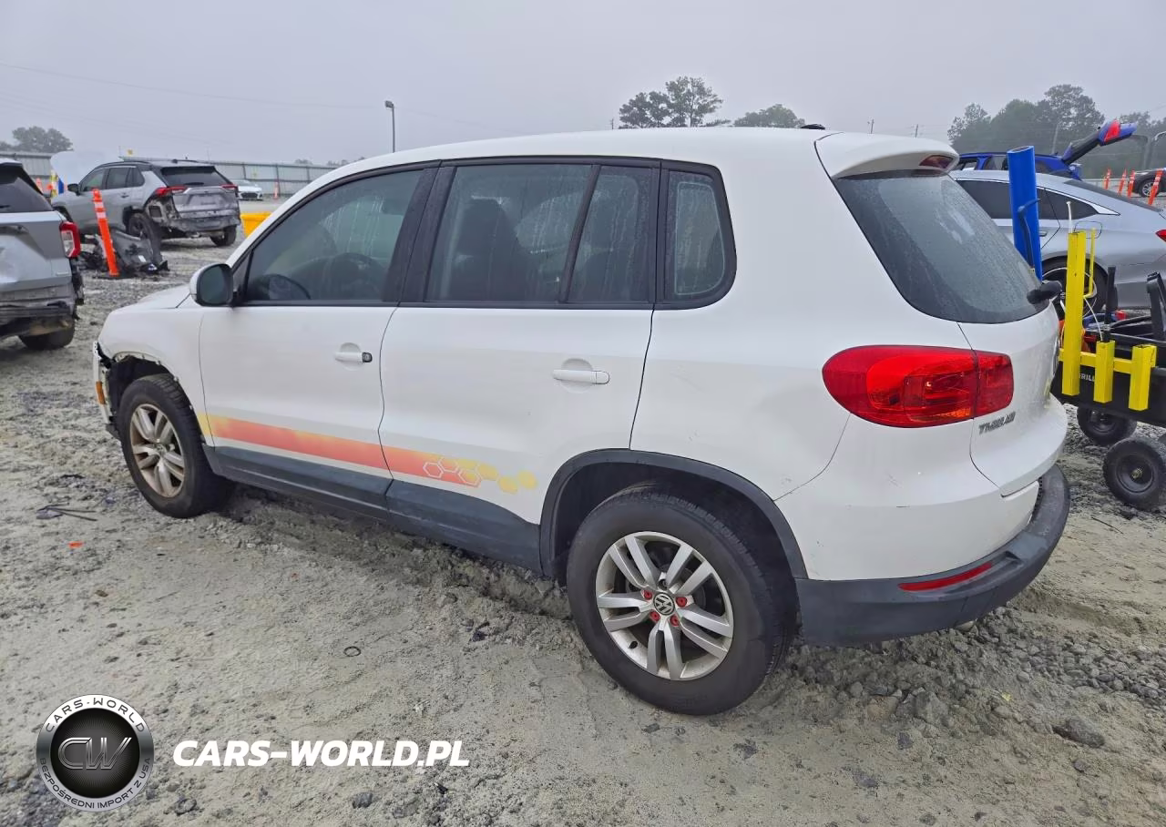2013 Volkswagen Tiguan S VIN:WVGAV3AX1DW603332 - 2