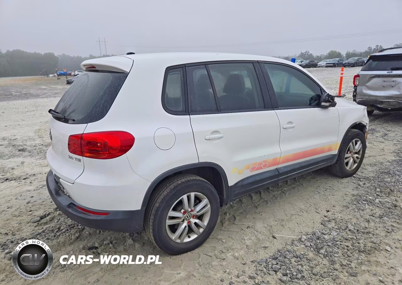 2013 Volkswagen Tiguan S VIN:WVGAV3AX1DW603332 - 3