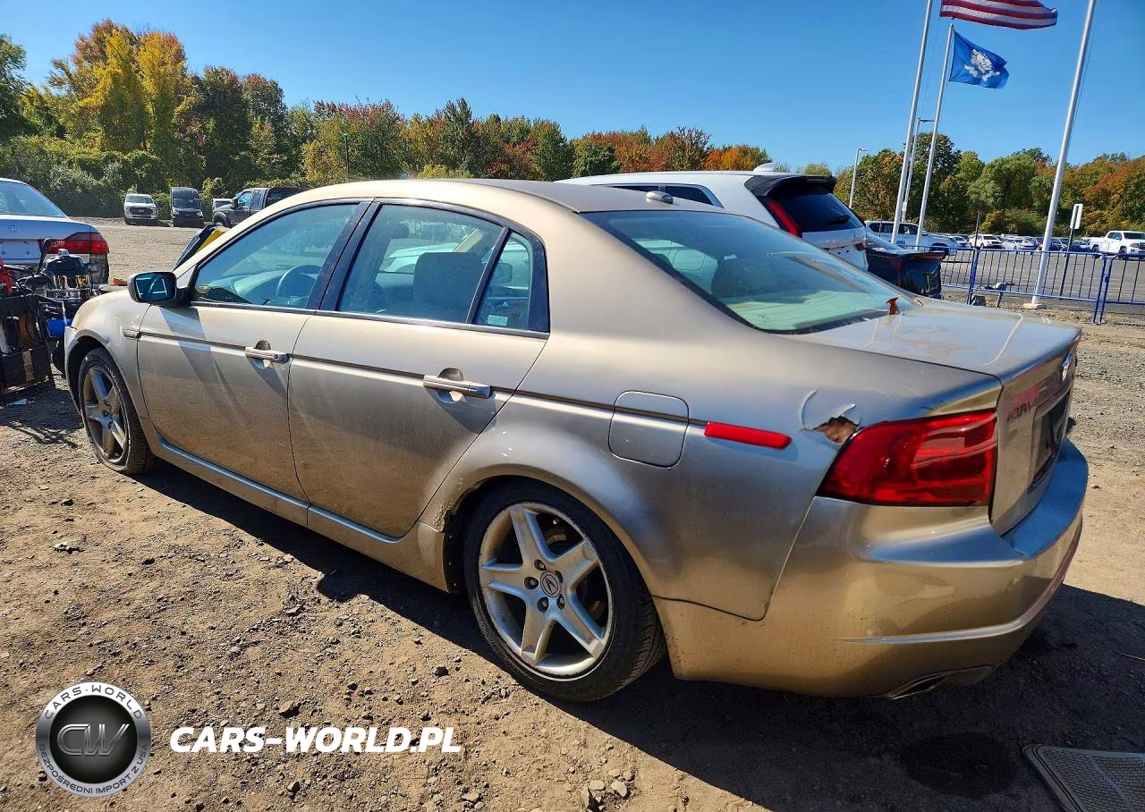2004 Acura Tl VIN:19UUA66244A013491 - 2