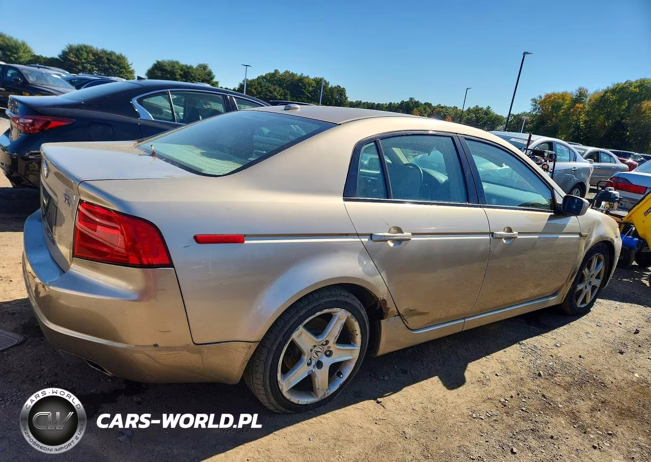 2004 Acura Tl VIN:19UUA66244A013491 - 3