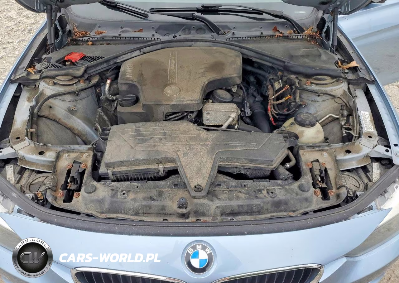 2013 BMW 320 I xDrive VIN:WBA3C3C51DF979640 - 11