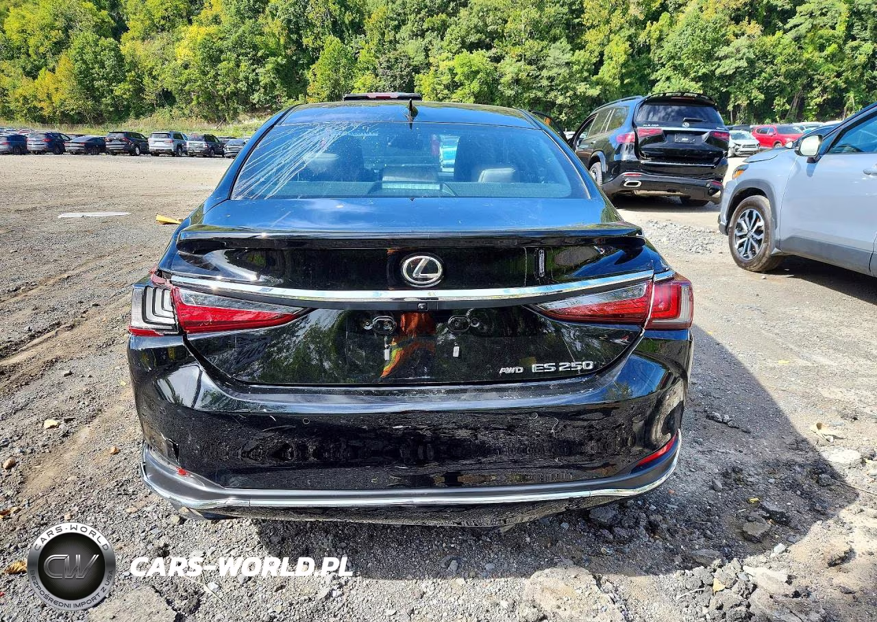 2024 Lexus Es 250 Base VIN:58AD11D12RU013138 - 6