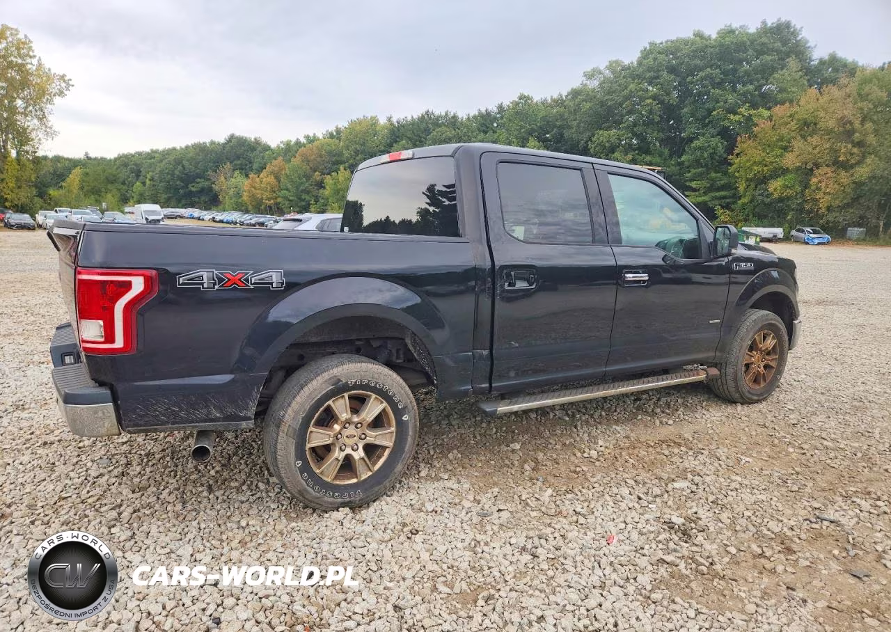 2017 Ford F150 Supercrew VIN:1FTEW1EG3HFB28032 - 3