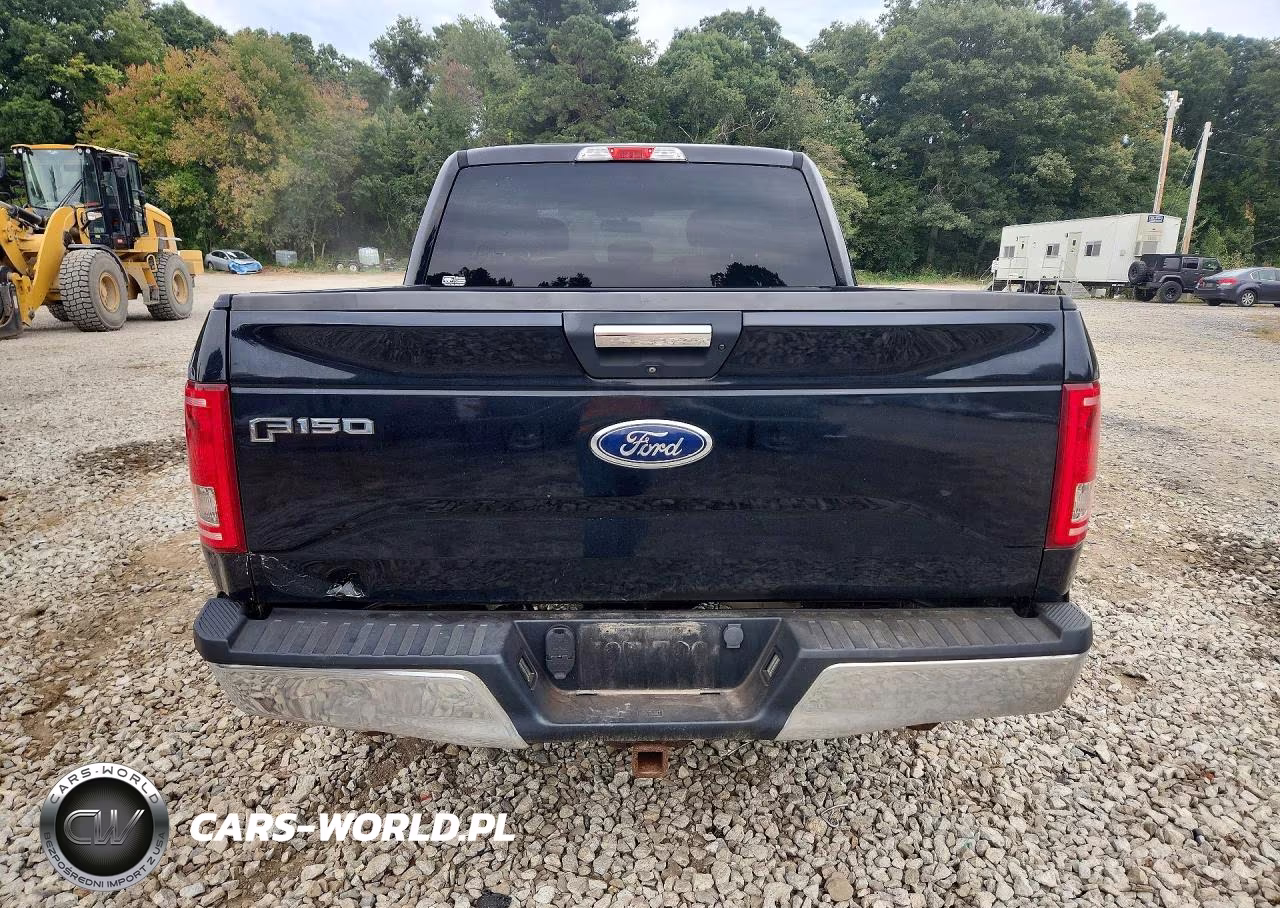 2017 Ford F150 Supercrew VIN:1FTEW1EG3HFB28032 - 6