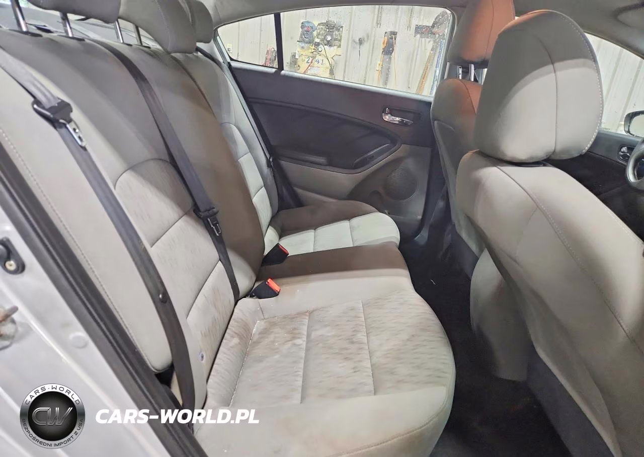 2015 Kia Forte Lx VIN:KNAFK4A68F5407359 - 10