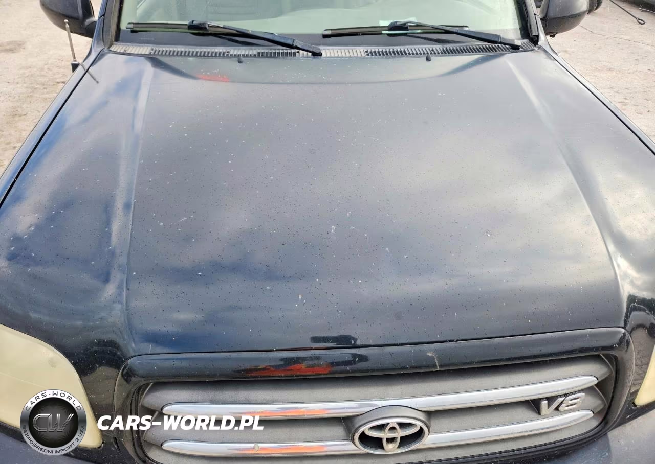 2002 Toyota Sequoia Limited VIN:5TDZT38A72S134100 - 12