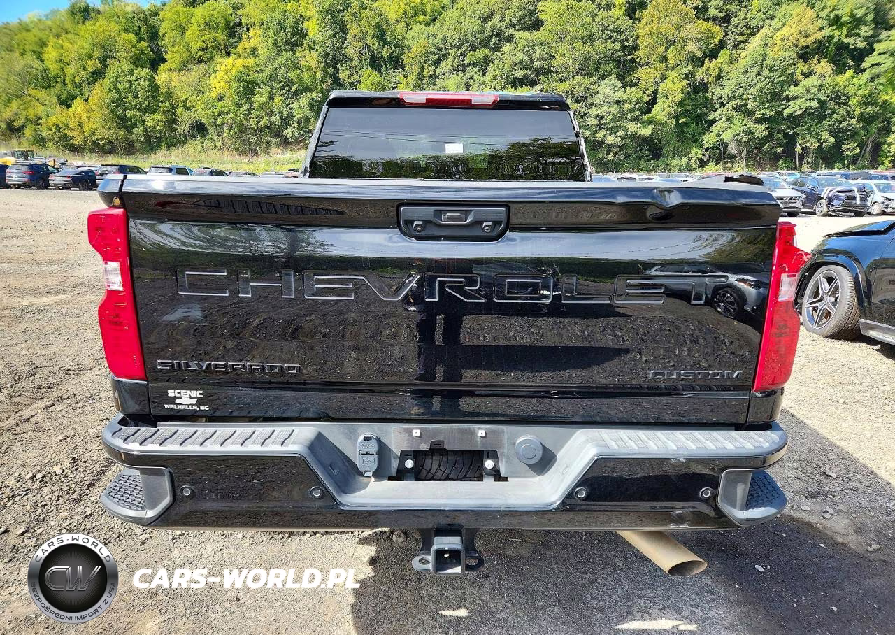 2025 Chevrolet Silverado K2500 Custom VIN:2GC4KME77S1194994 - 6