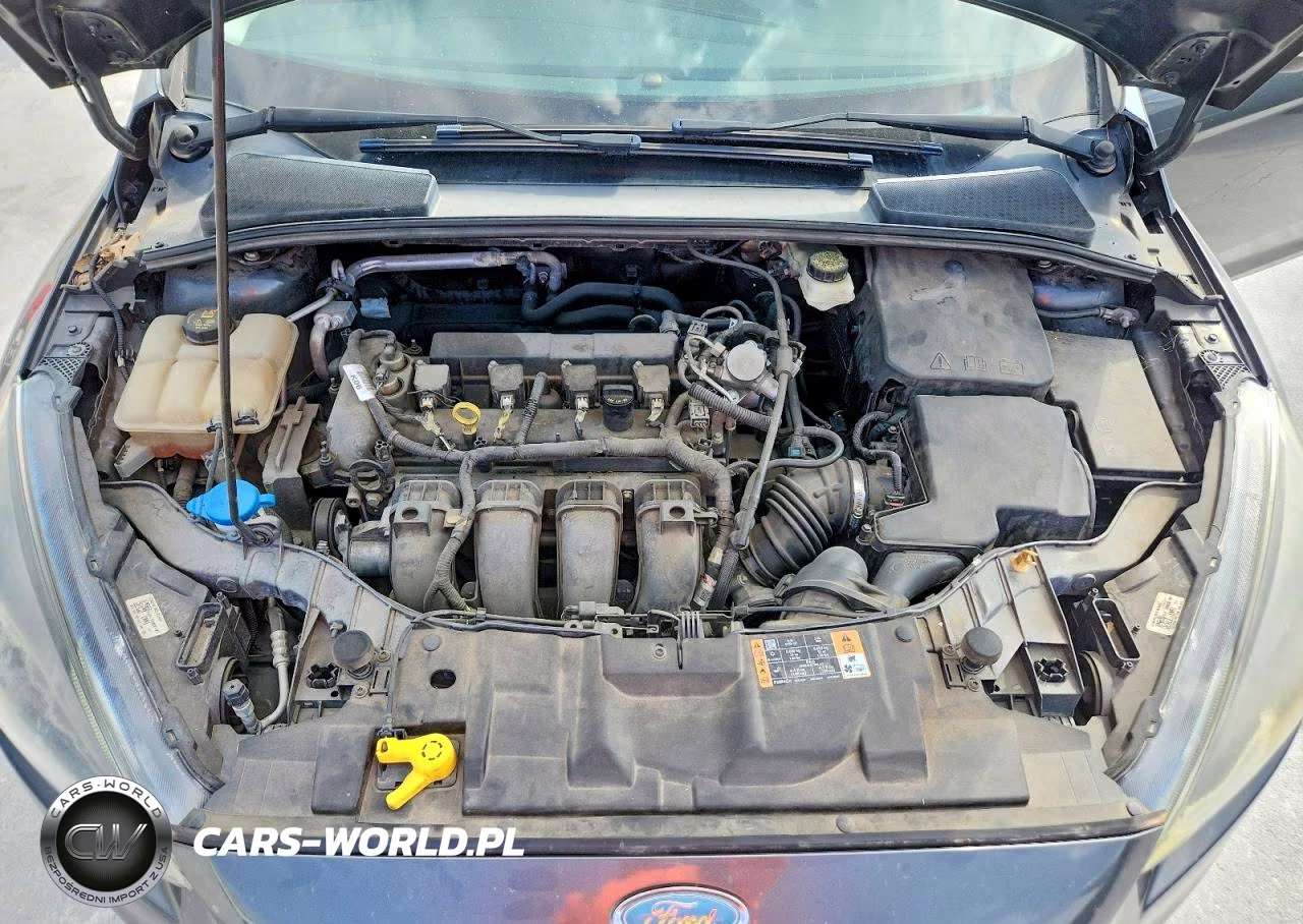 FORD FOCUS VIN:1FADP3H28HL318856 - 11