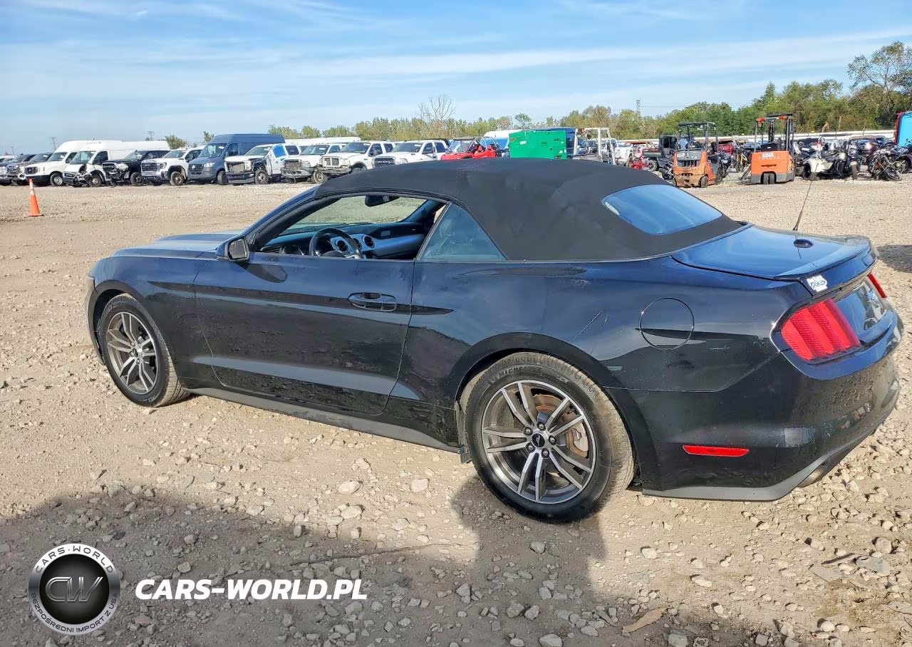 2017 Ford Mustang VIN:1FATP8UH9H5293229 - 2