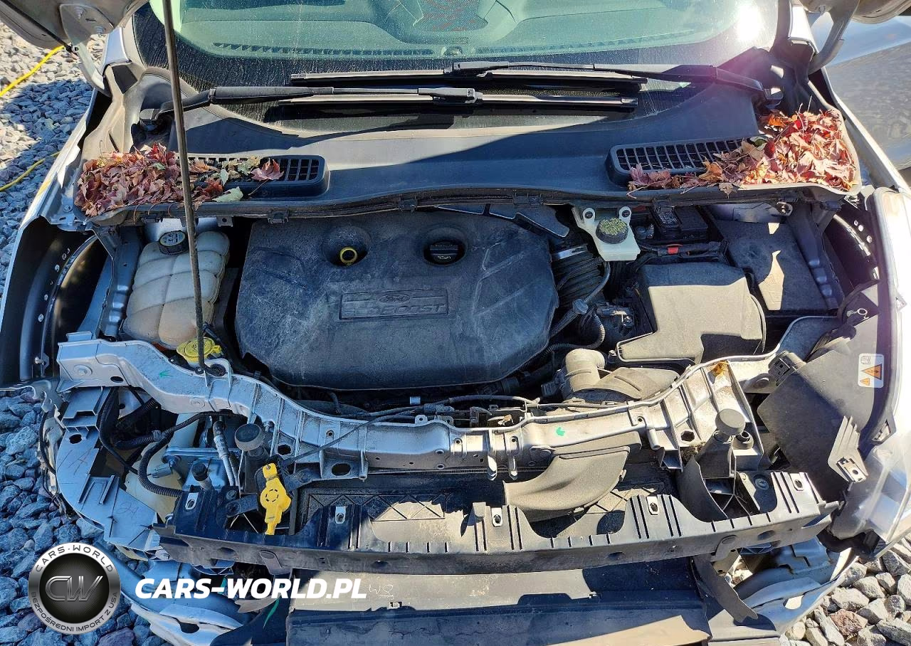 2013 Ford Escape Titanium VIN:1FMCU9J96DUA23831 - 11
