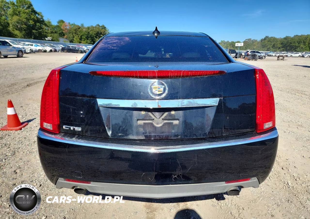 2010 Cadillac Cts Luxury Collection VIN:1G6DE5EG5A0148607 - 6