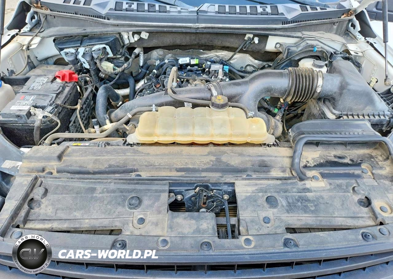 2020 Ford F150 Supercrew VIN:1FTEW1EP5LKE45682 - 11