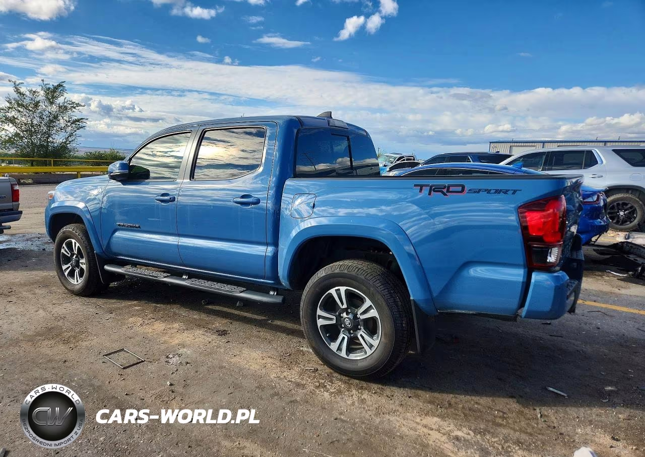 2019 Toyota Tacoma Trd Sport VIN:3TMAZ5CN0KM105491 - 2