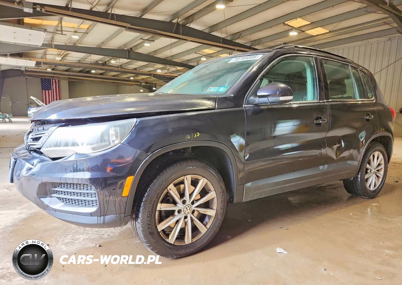 2017 Volkswagen Tiguan S VIN:WVGAV7AX0HK046756 - 1