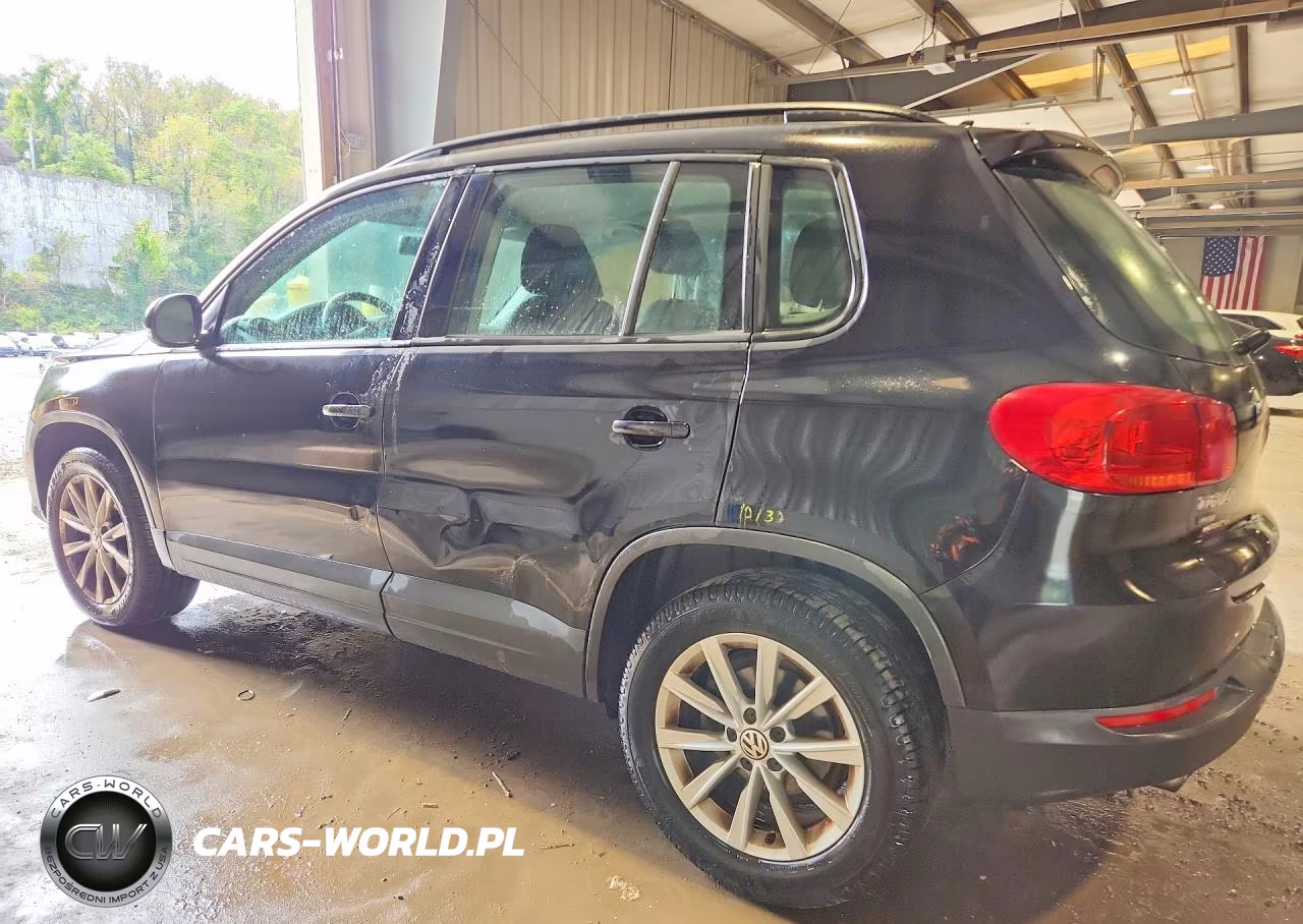2017 Volkswagen Tiguan S VIN:WVGAV7AX0HK046756 - 2