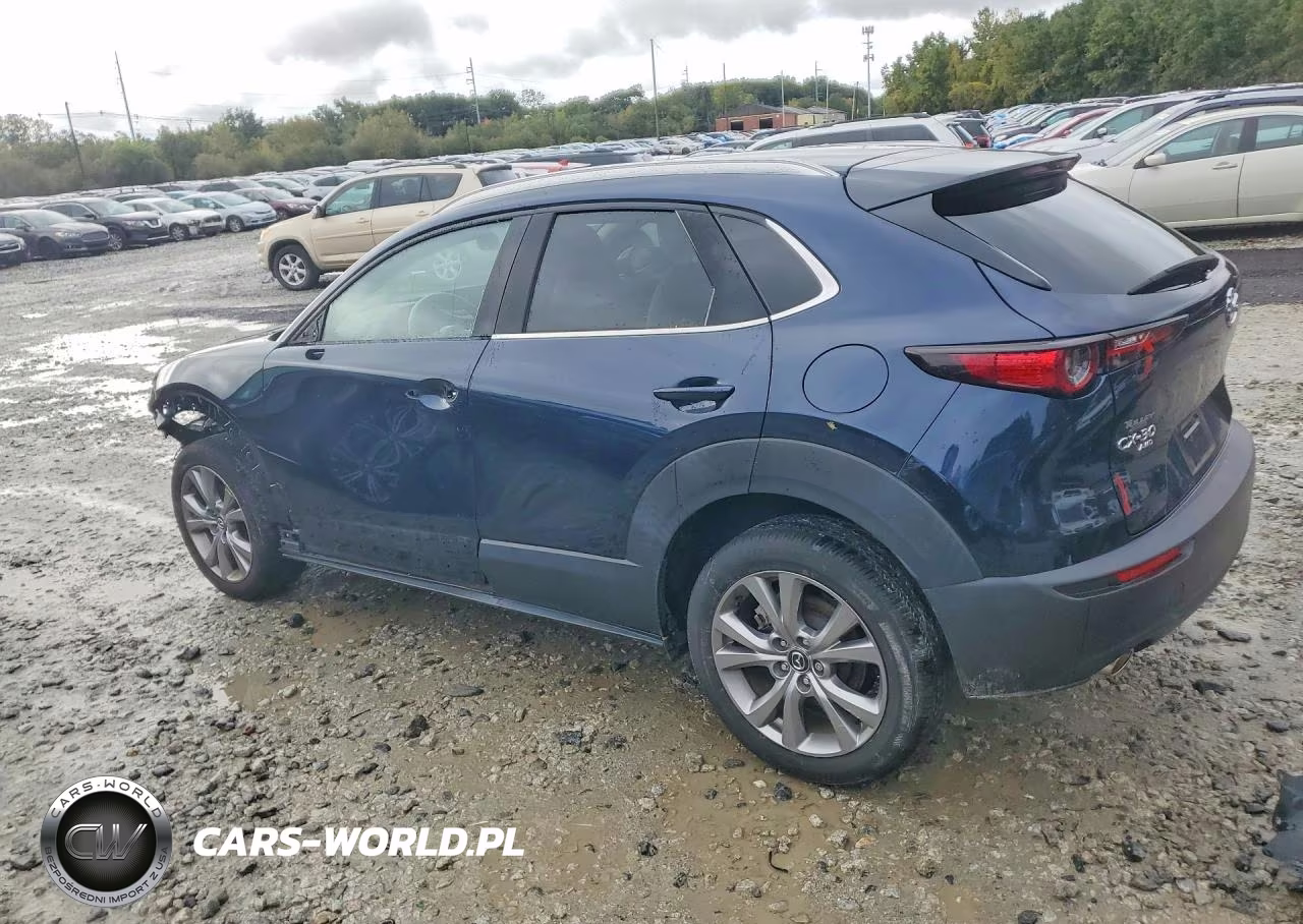 2023 Mazda Cx-30 Premium VIN:3MVDMBDM1PM518719 - 2