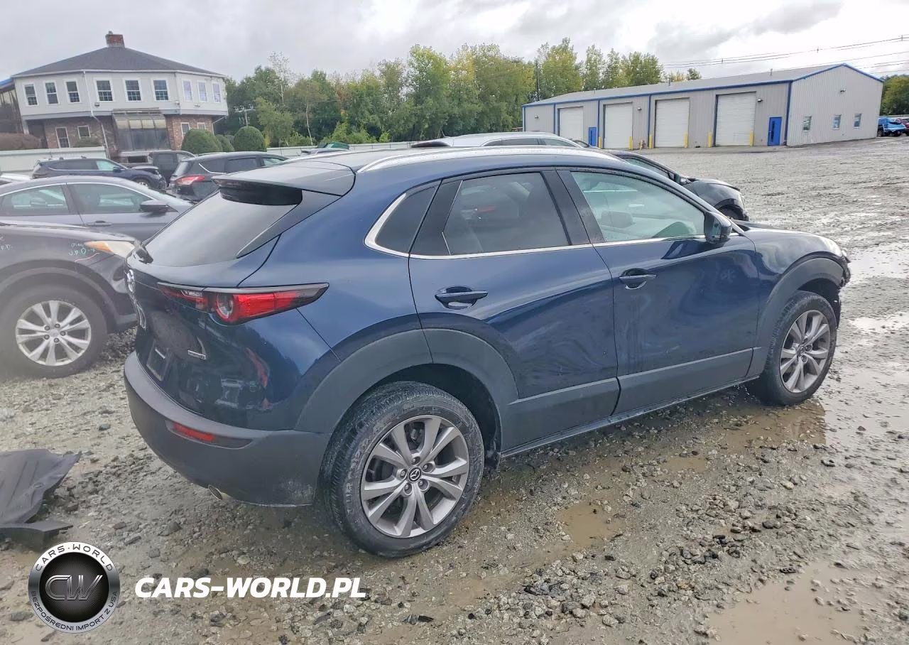 2023 Mazda Cx-30 Premium VIN:3MVDMBDM1PM518719 - 3