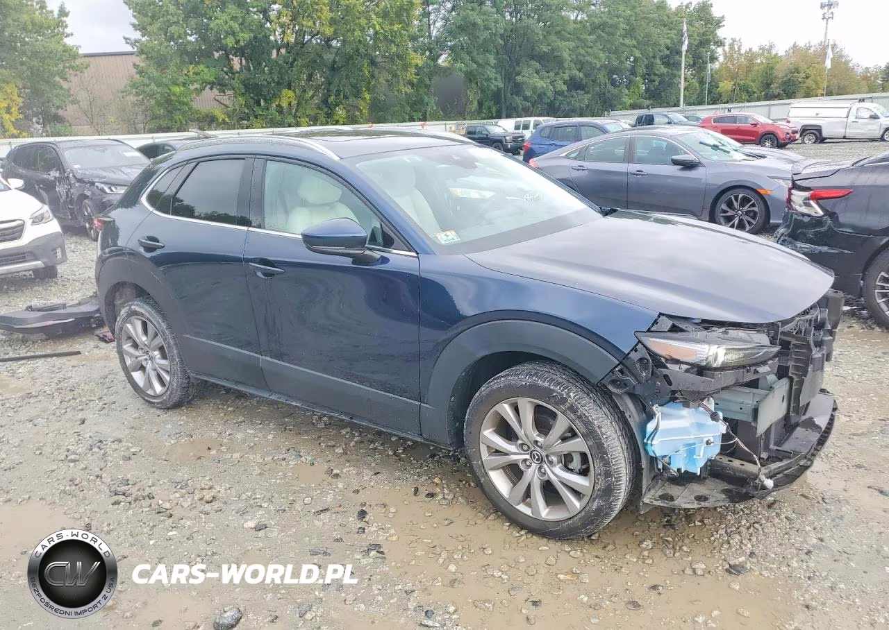 2023 Mazda Cx-30 Premium VIN:3MVDMBDM1PM518719 - 4