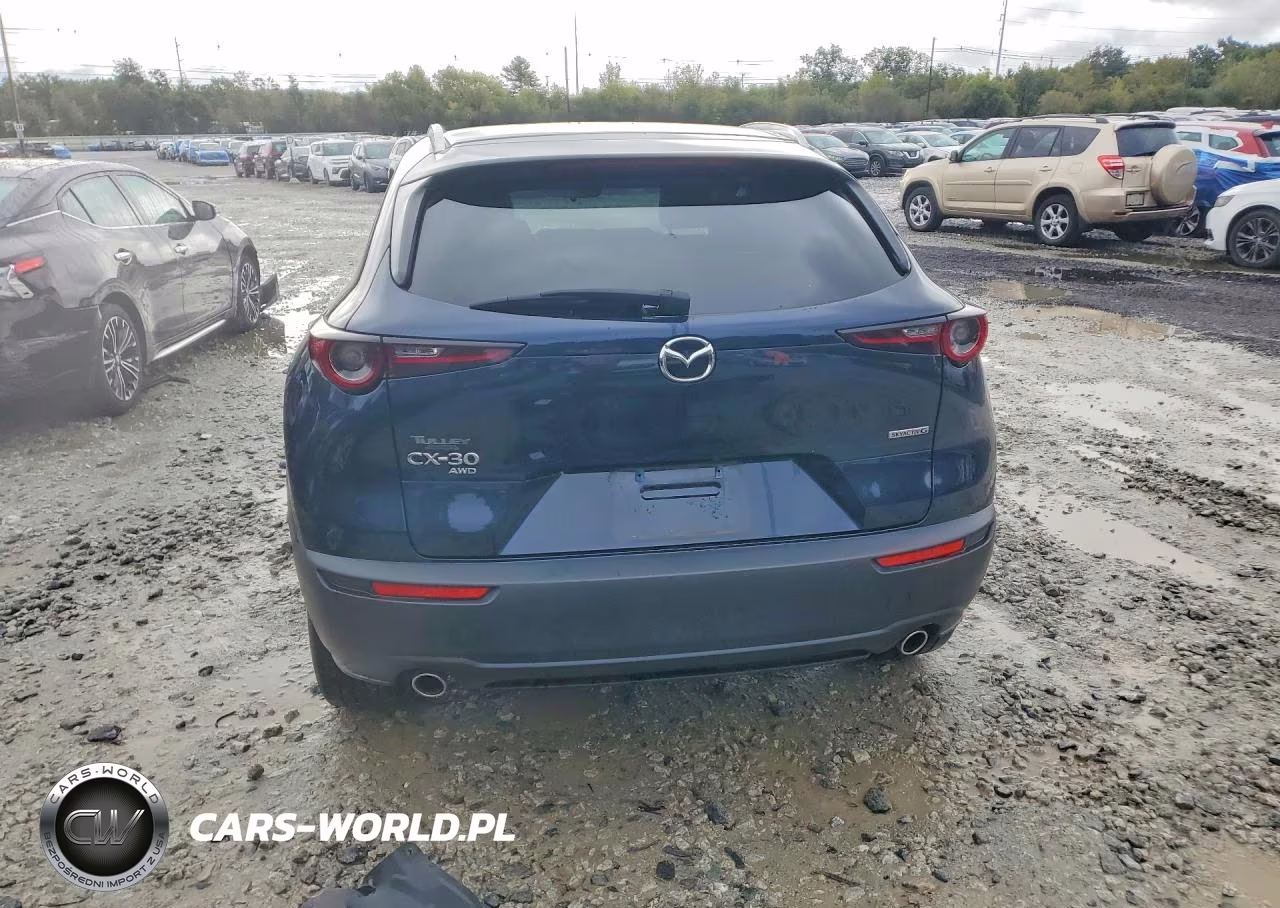 2023 Mazda Cx-30 Premium VIN:3MVDMBDM1PM518719 - 6