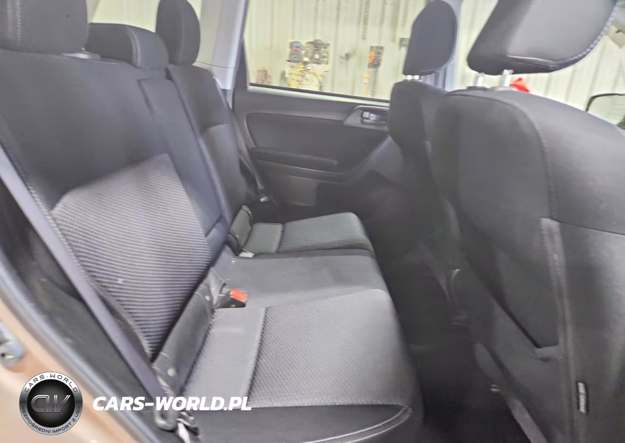 2015 Subaru Forester 2.5I Premium VIN:JF2SJADC0FH836810 - 10
