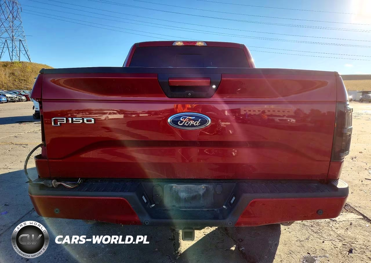2017 Ford F150 Supercrew VIN:1FTEW1EG2HKD71516 - 6