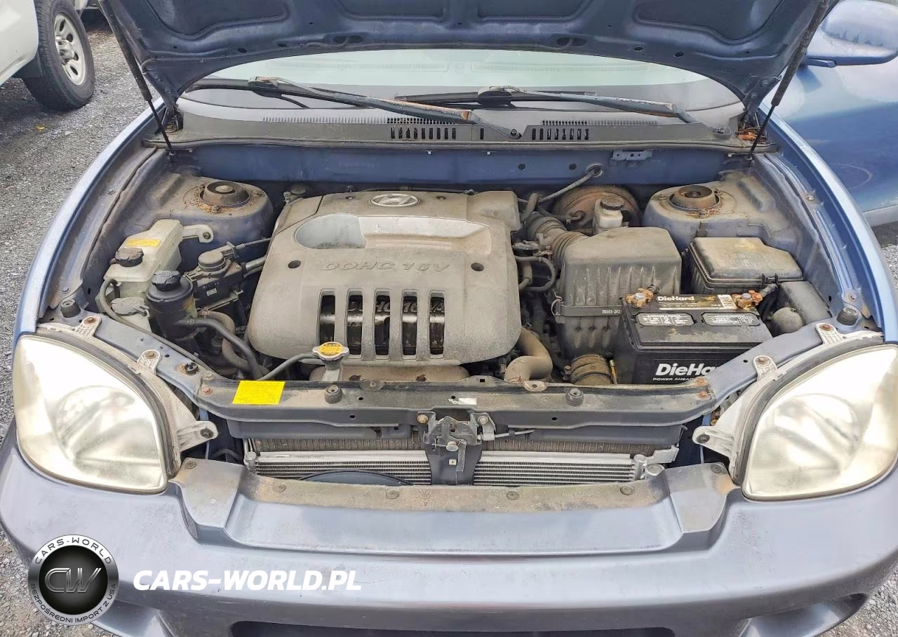 2002 Hyundai Santa Fe Base VIN:KM8SB12B72U309575 - 11