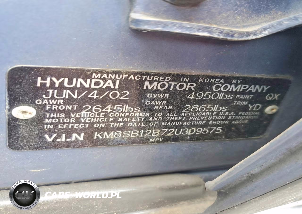 2002 Hyundai Santa Fe Base VIN:KM8SB12B72U309575 - 12