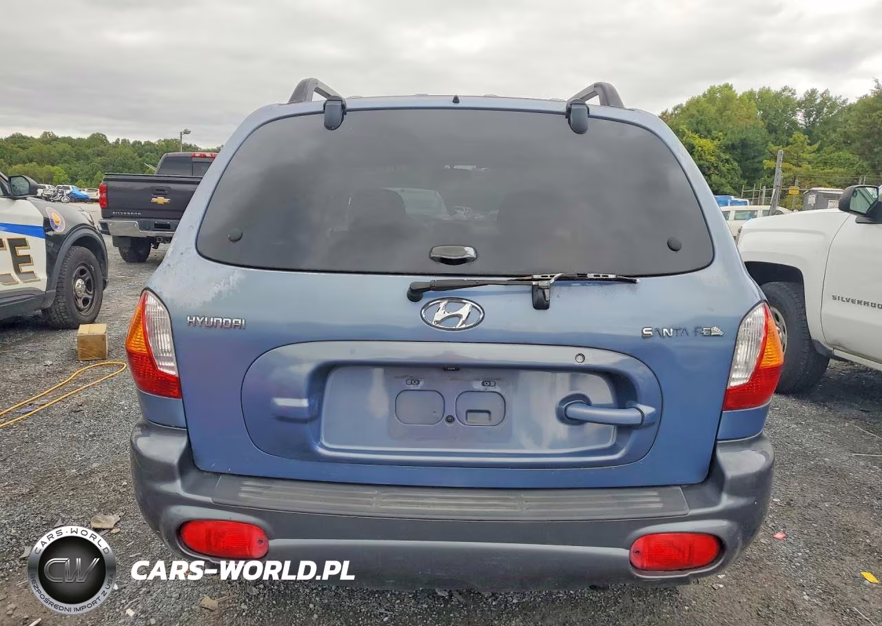 2002 Hyundai Santa Fe Base VIN:KM8SB12B72U309575 - 6