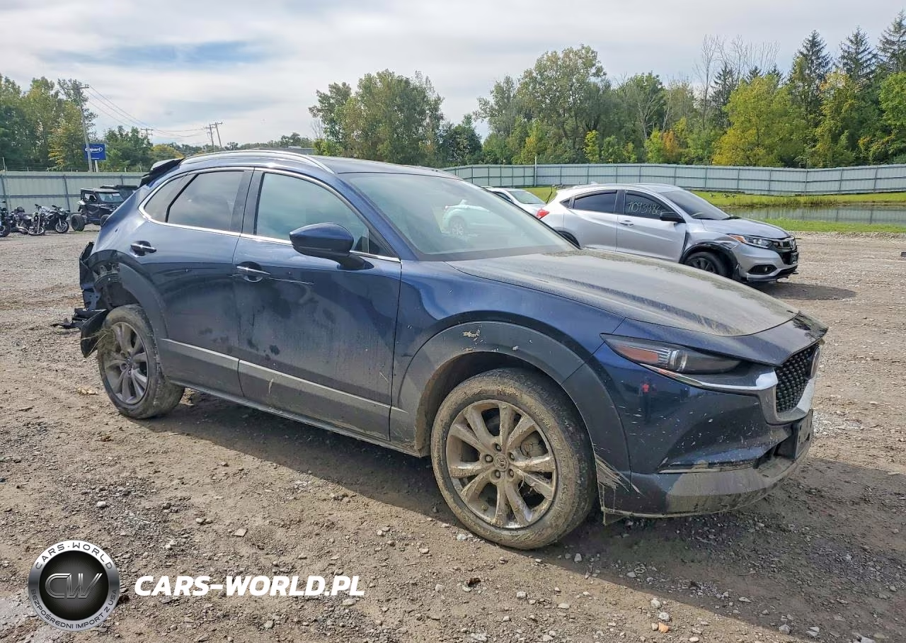 2021 Mazda Cx-30 Premium VIN:3MVDMBDL1MM309418 - 4