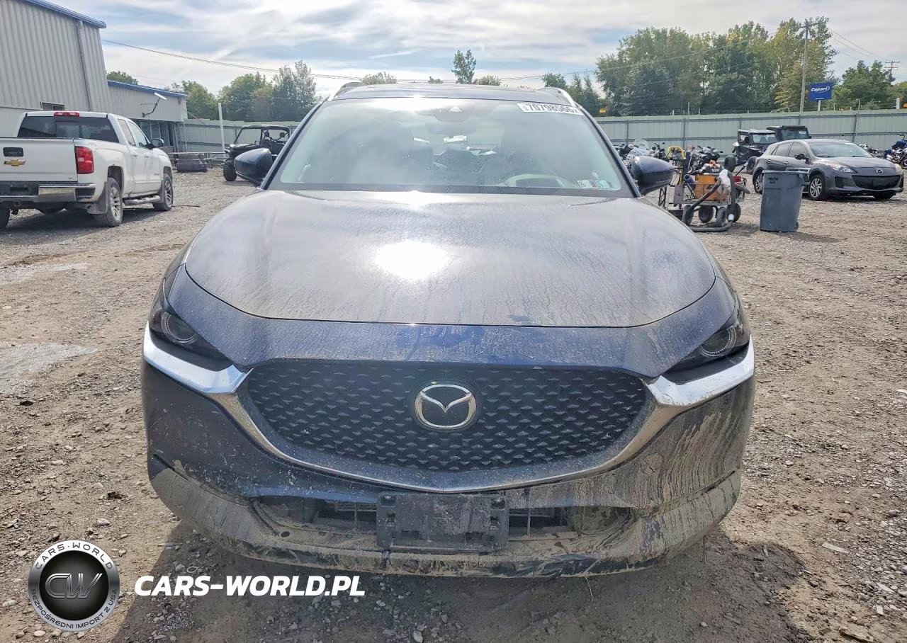 2021 Mazda Cx-30 Premium VIN:3MVDMBDL1MM309418 - 5