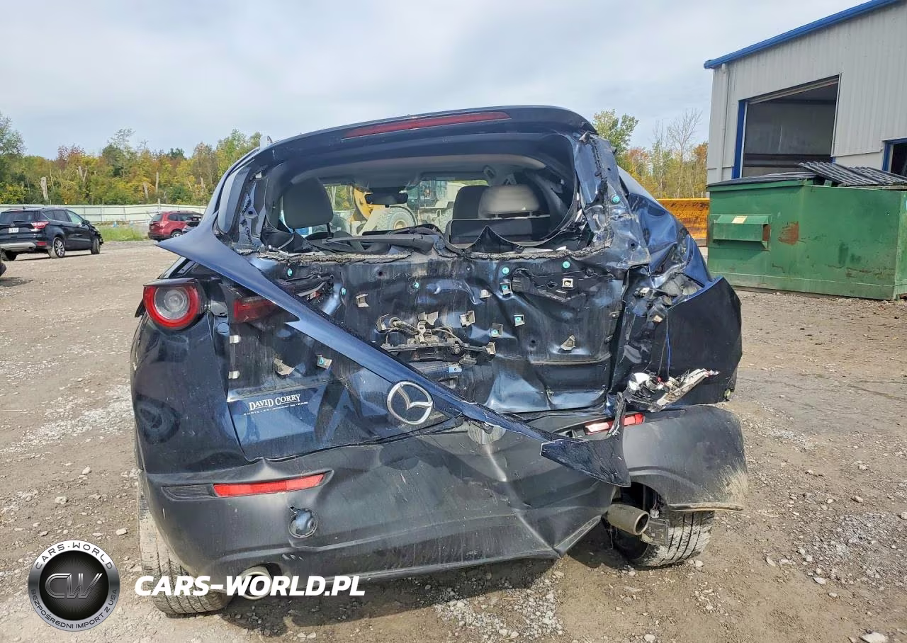 2021 Mazda Cx-30 Premium VIN:3MVDMBDL1MM309418 - 6