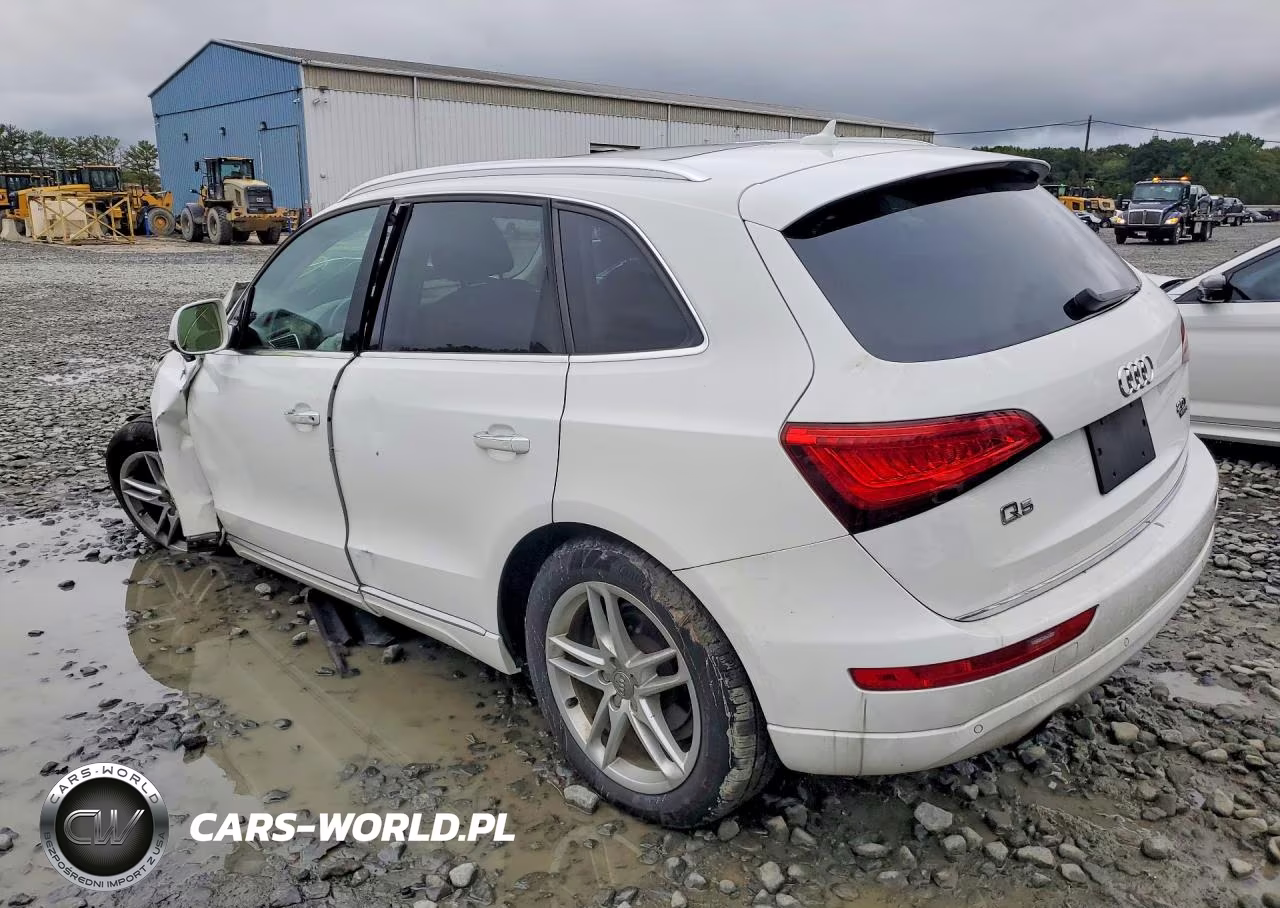2015 Audi Q5 Premium Plus VIN:WA1LFAFP9FA113724 - 2