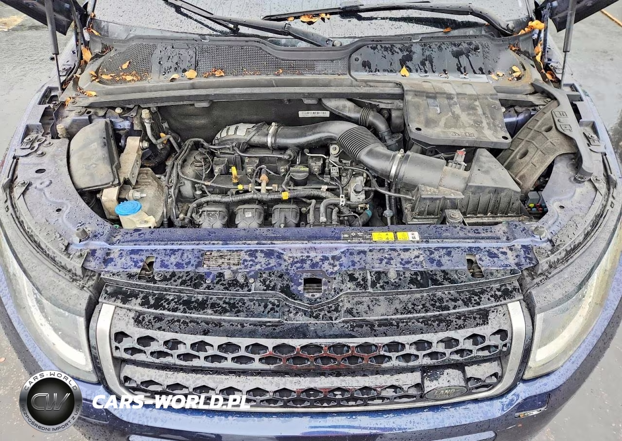 2017 Land Rover Range Rover Evoque Se VIN:SALVP2BG9HH193083 - 12