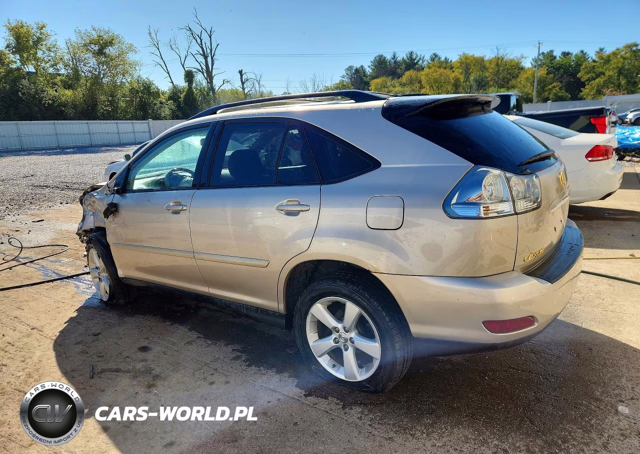 2004 Lexus Rx 330 VIN:2T2HA31U54C009822 - 2