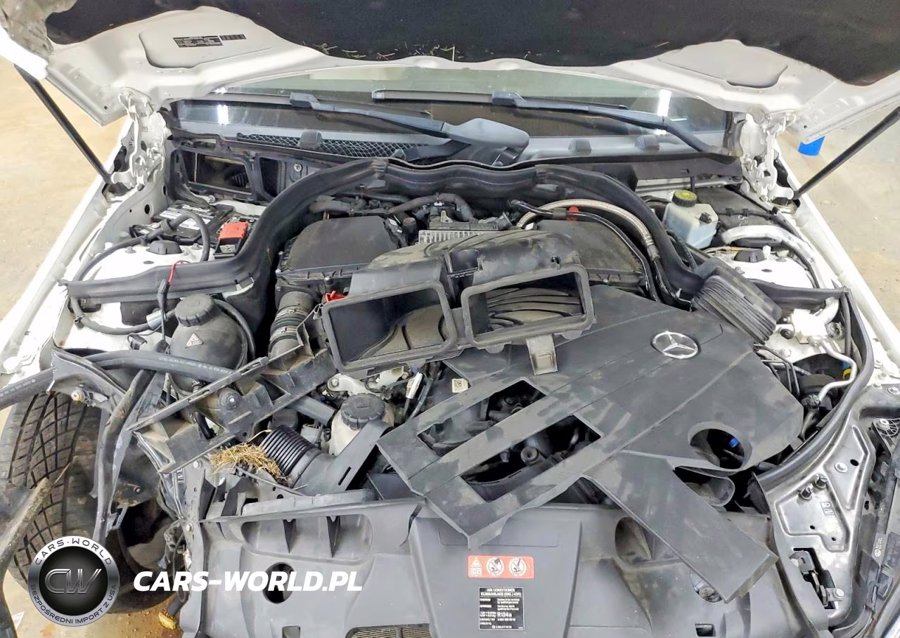 2016 Mercedes-Benz E 400 VIN:WDDKJ6FB5GF346673 - 11