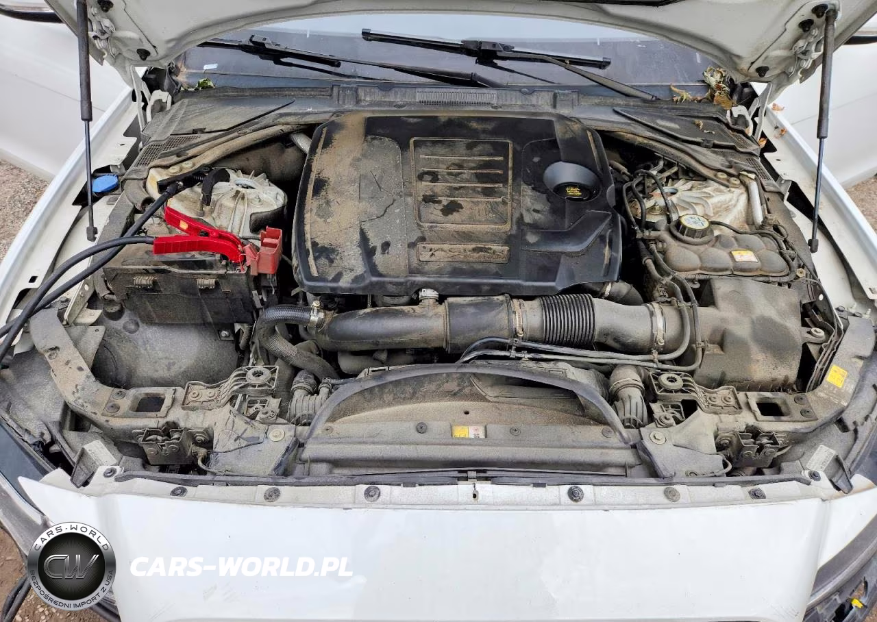 2019 Jaguar Xf Premium VIN:SAJBD4FX9KCY78845 - 11