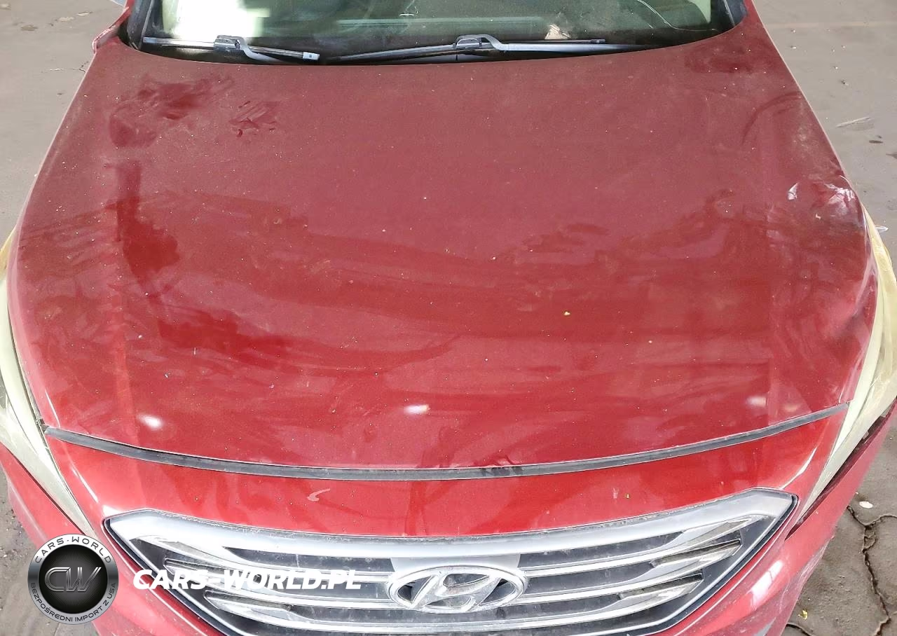 2016 Hyundai Sonata Sport VIN:5NPE34AF6GH326065 - 11