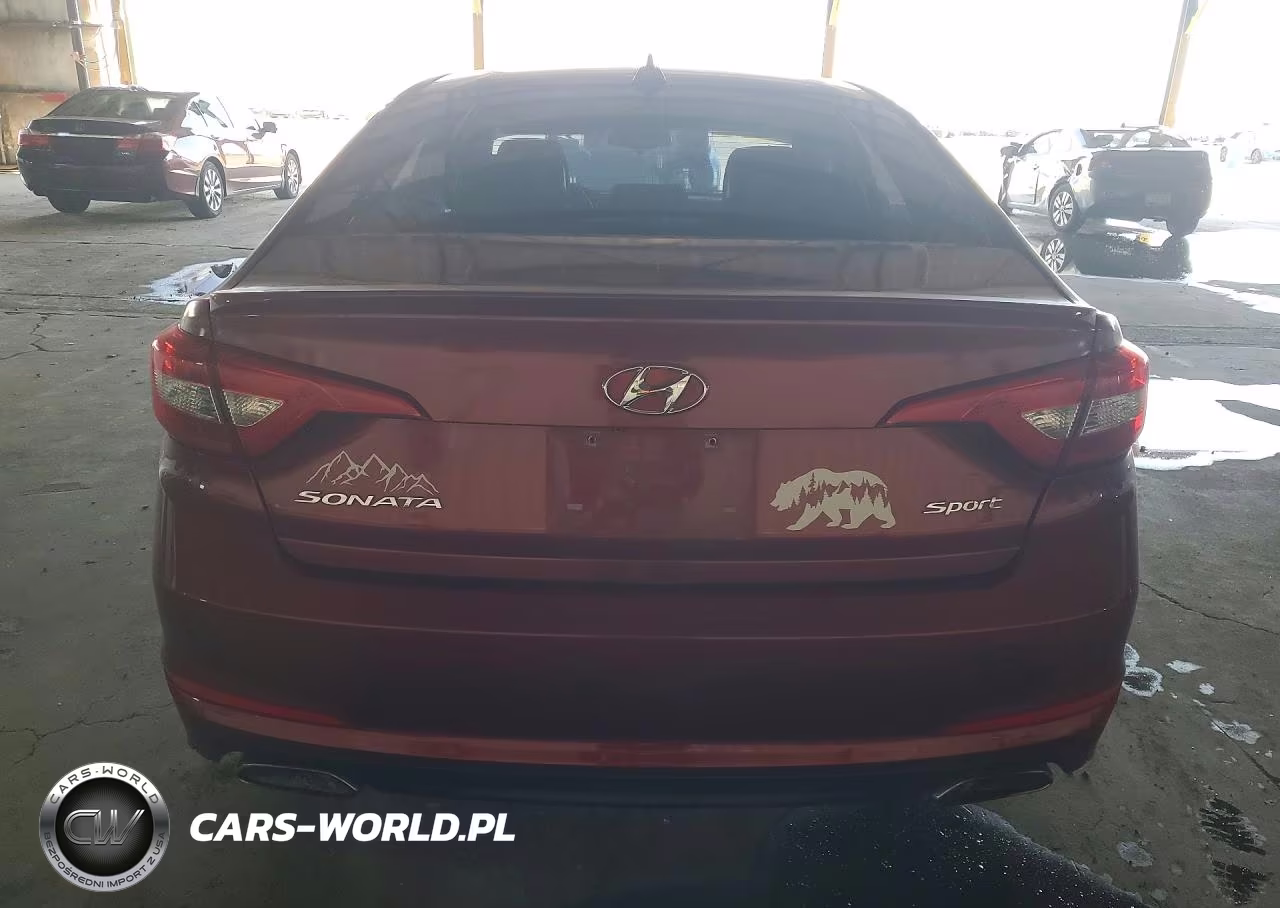 2016 Hyundai Sonata Sport VIN:5NPE34AF6GH326065 - 6
