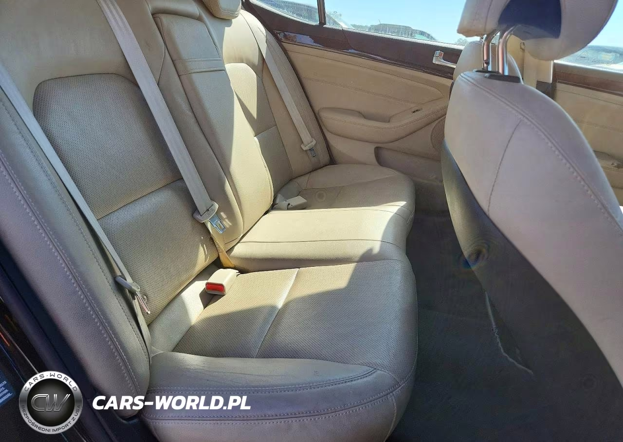 2014 Kia Cadenza Premium VIN:KNALN4D79E5141976 - 10
