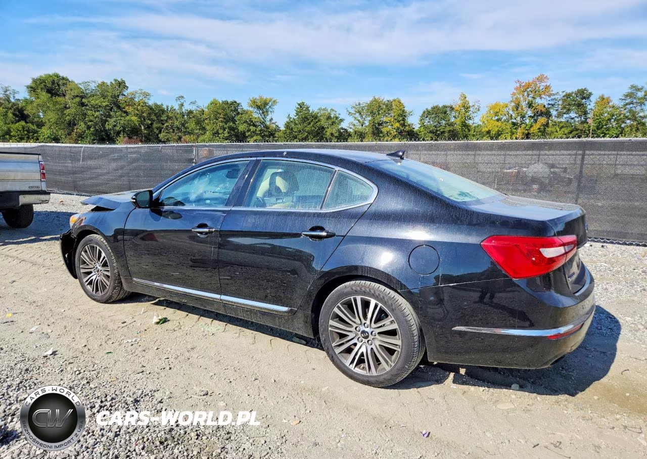 2014 Kia Cadenza Premium VIN:KNALN4D79E5141976 - 2