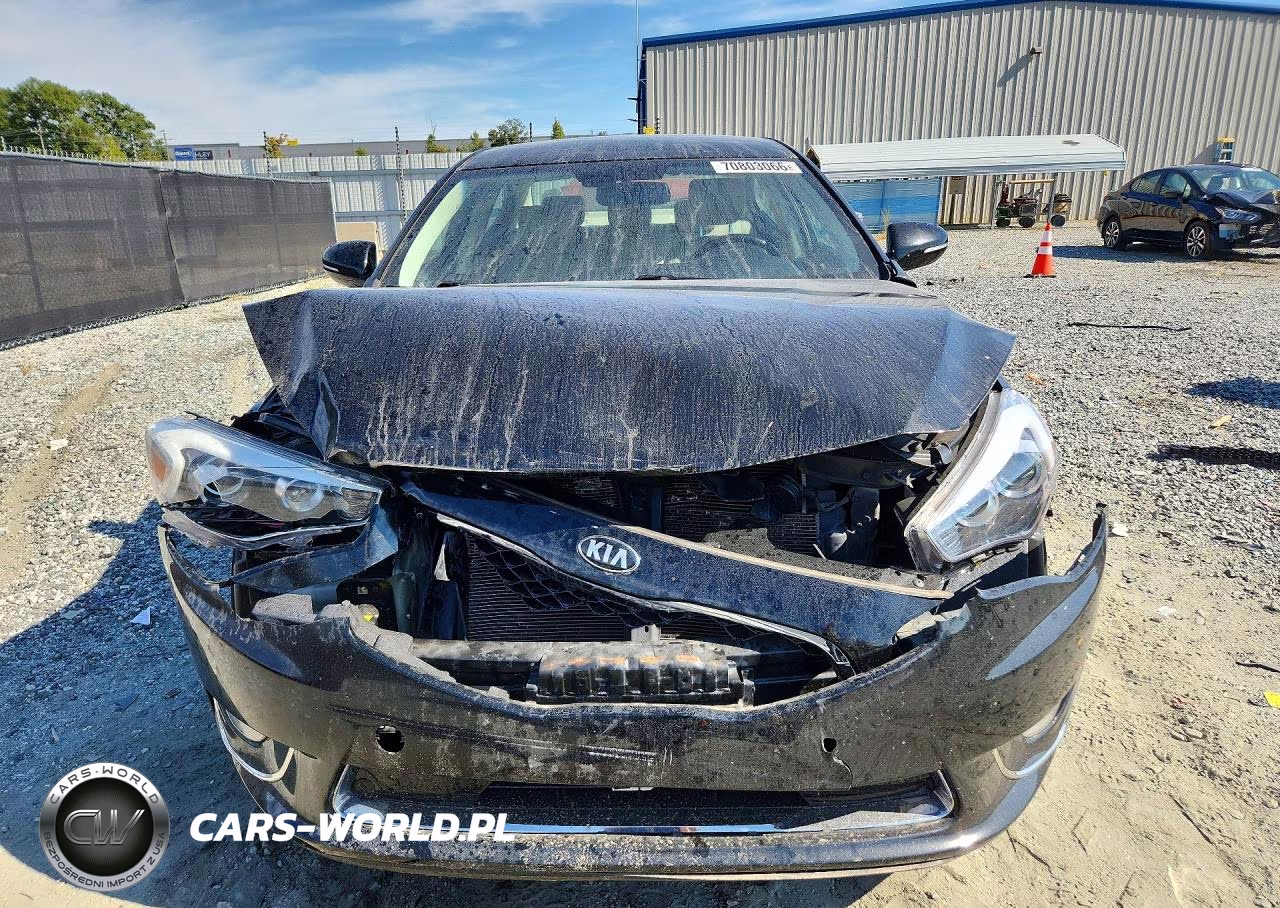 2014 Kia Cadenza Premium VIN:KNALN4D79E5141976 - 5