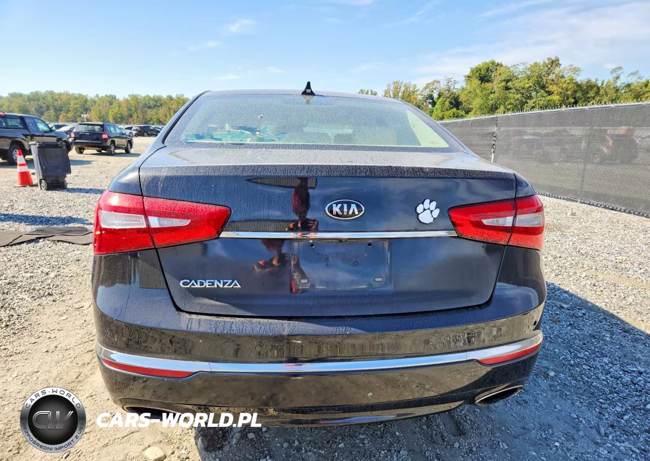 2014 Kia Cadenza Premium VIN:KNALN4D79E5141976 - 6