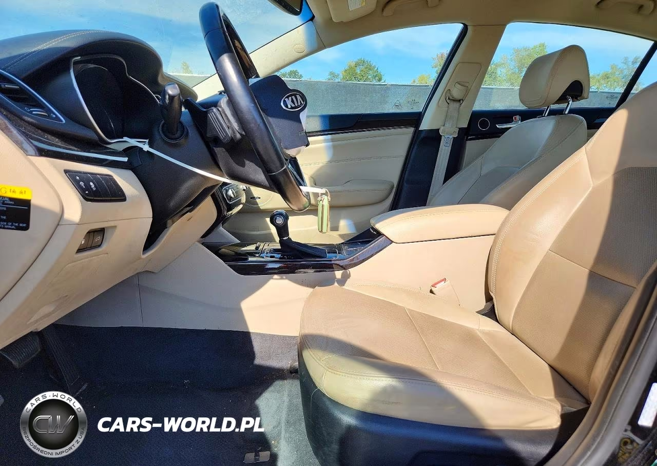2014 Kia Cadenza Premium VIN:KNALN4D79E5141976 - 7