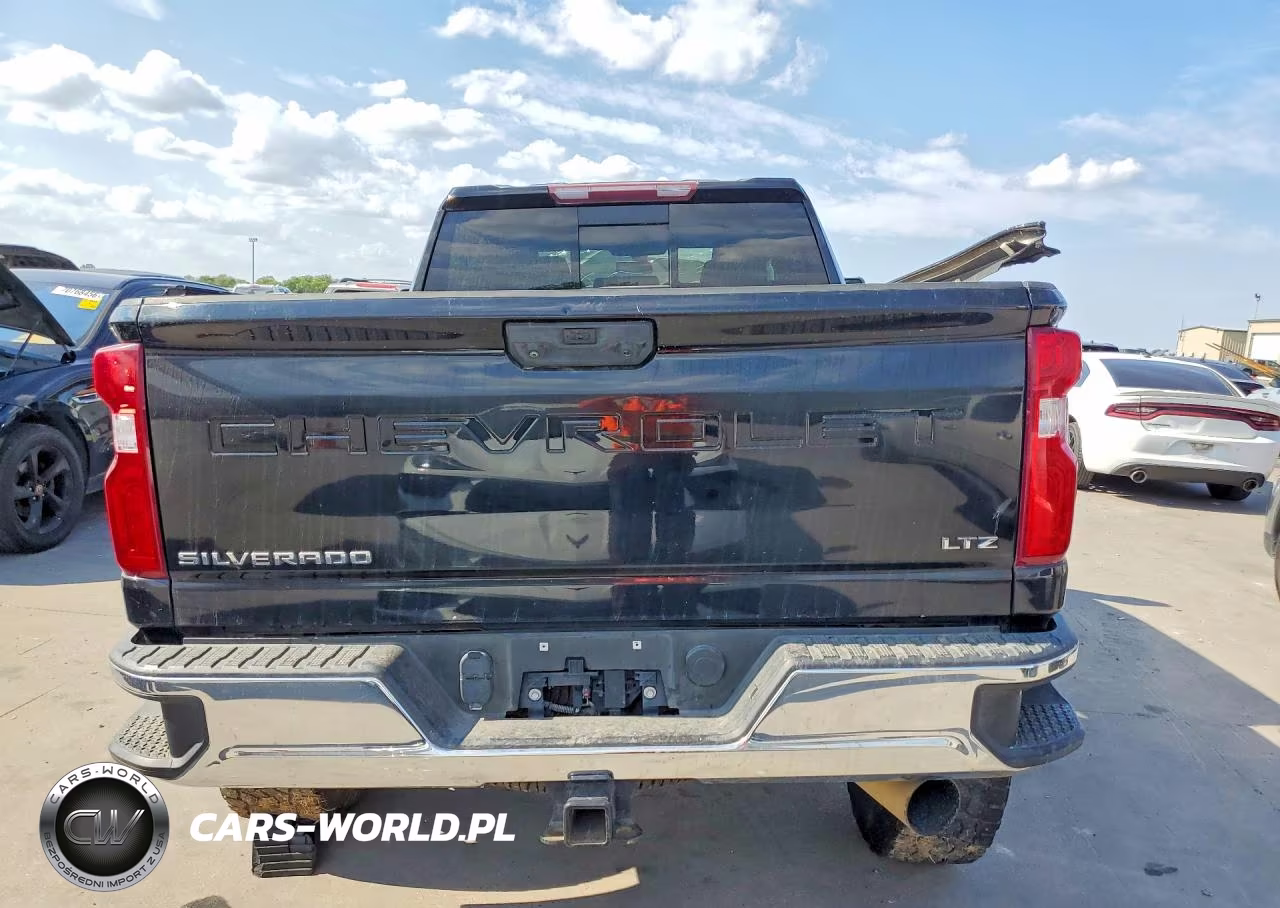 2021 Chevrolet Silverado K2500 Heavy Duty Ltz VIN:1GC4YPEY6MF291401 - 6
