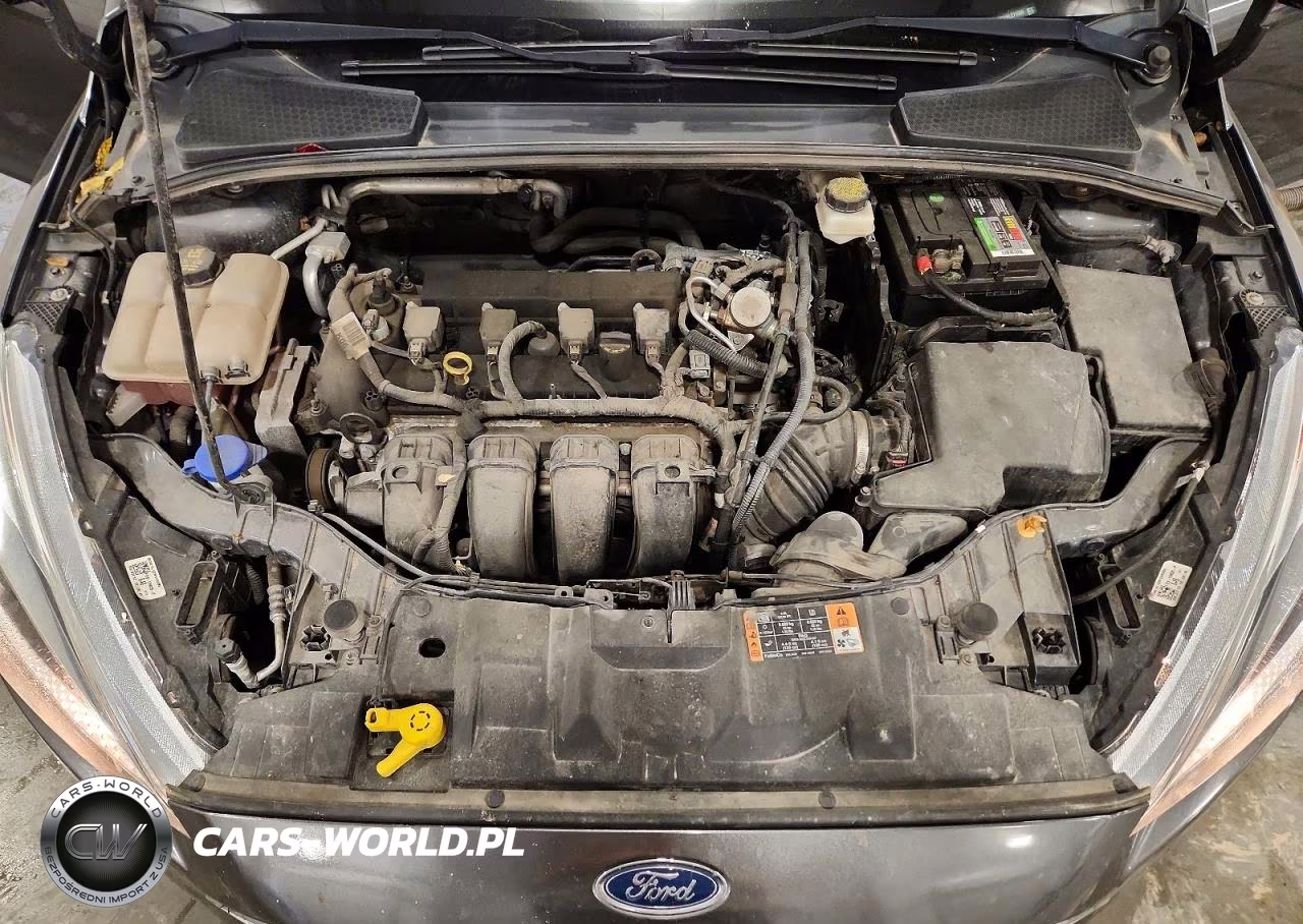 2017 Ford Focus S VIN:1FADP3E2XHL271009 - 11