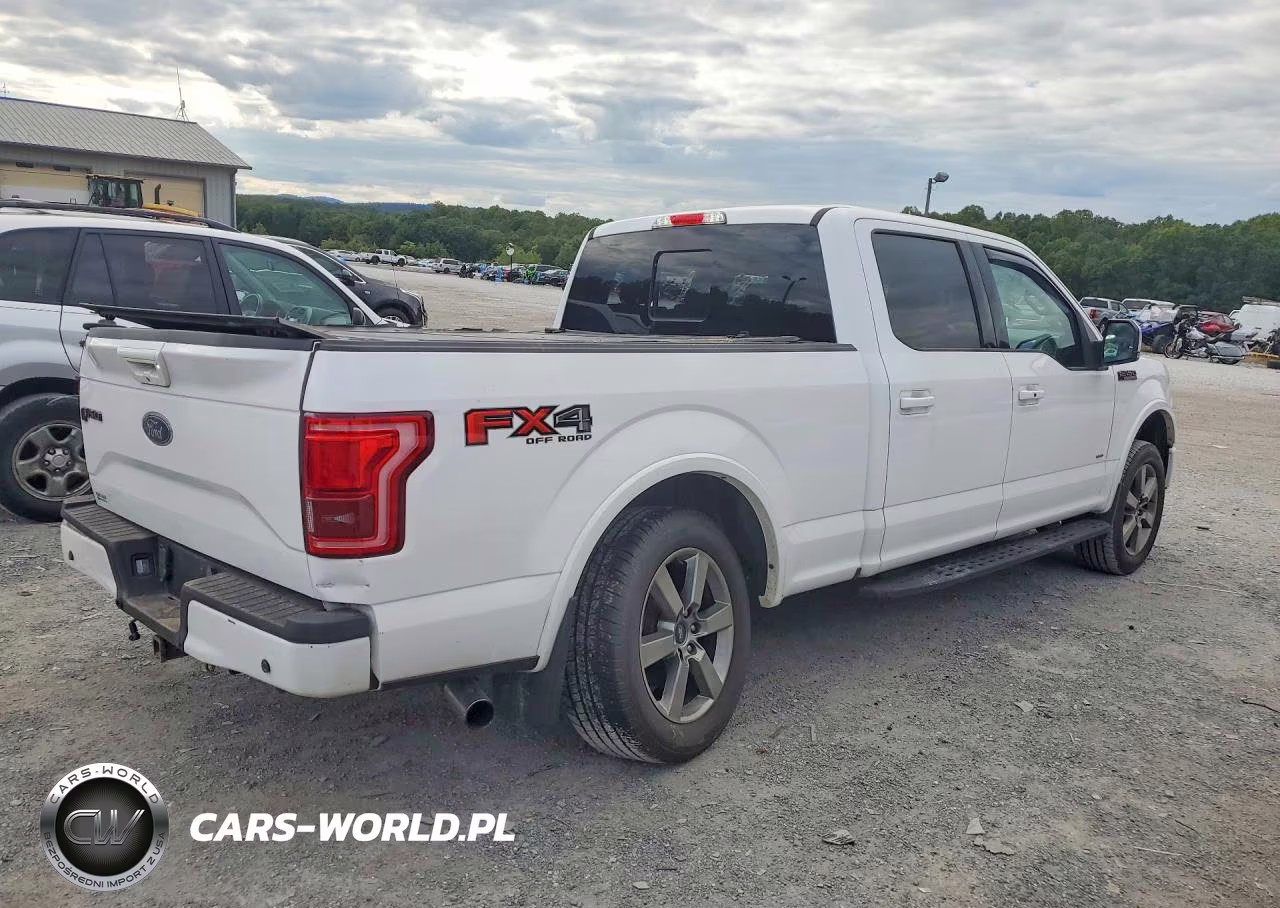 2016 Ford F150 Supercrew VIN:1FTFW1EG4GKD99045 - 3