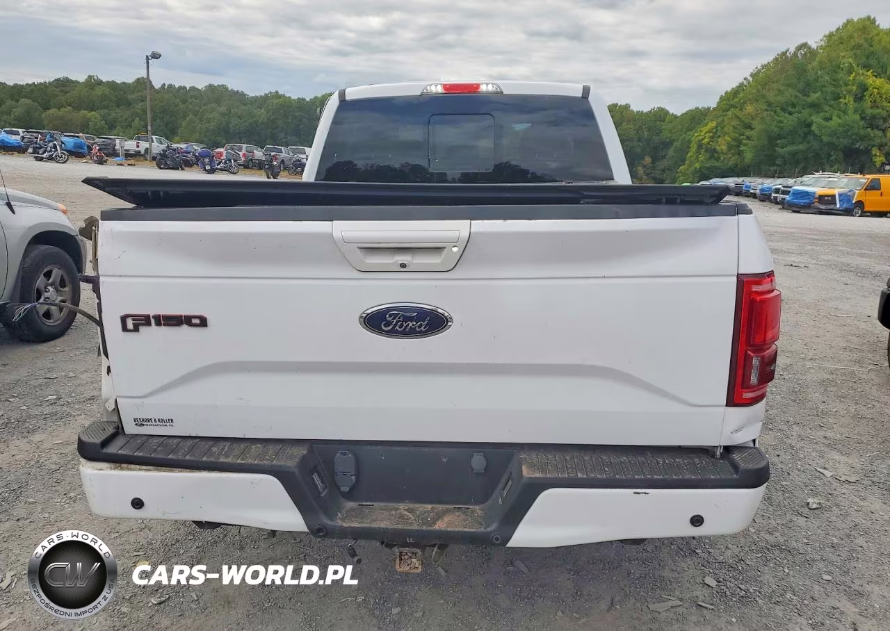 2016 Ford F150 Supercrew VIN:1FTFW1EG4GKD99045 - 6