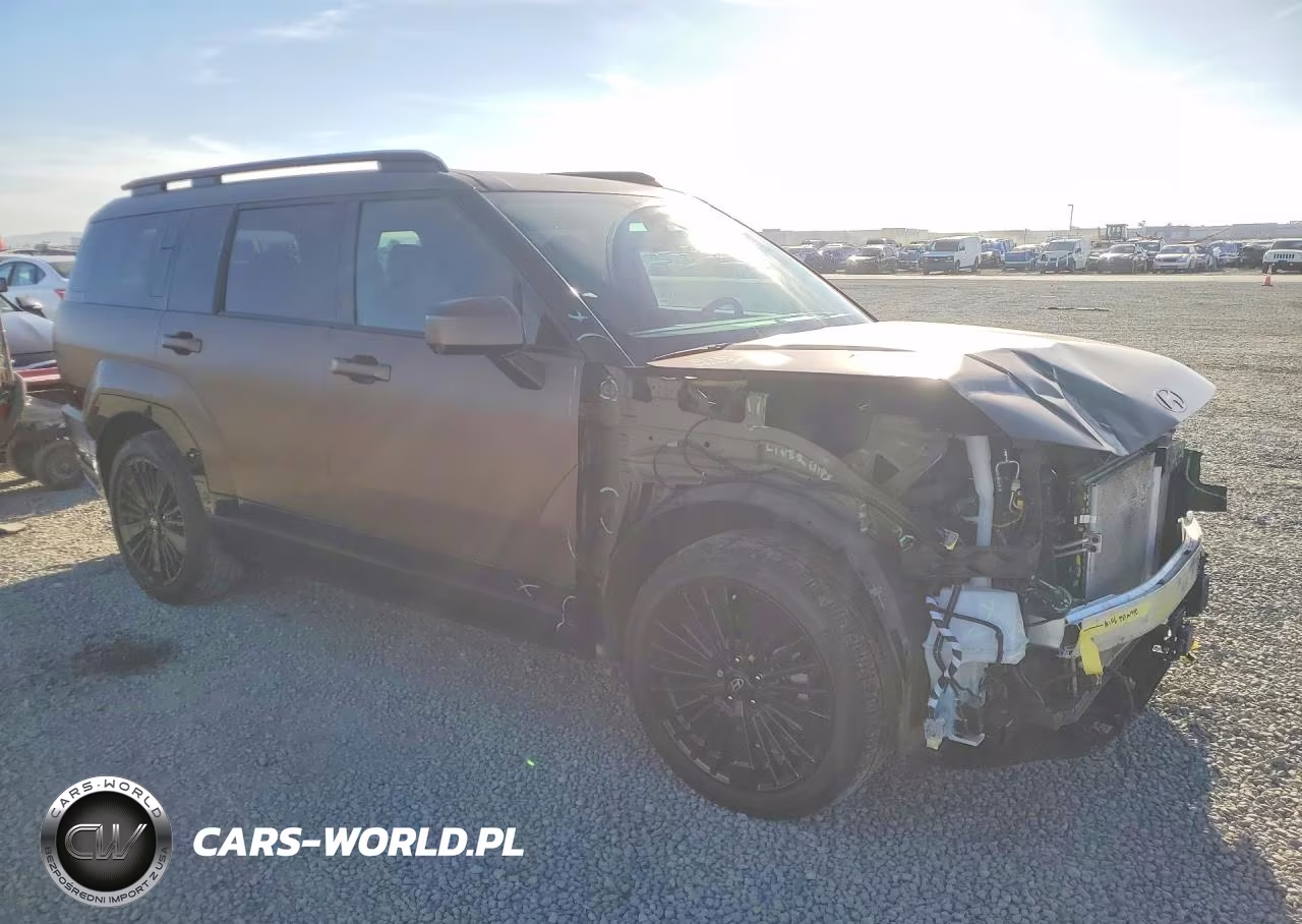 2025 Hyundai Santa Fe Calligraphy VIN:5NMP54G16SH027101 - 4